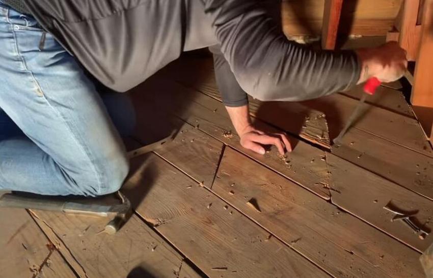 Altın sikkeler topraktan fışkırdı! Bugüne kadar keşfedilenlerin en büyüğü...