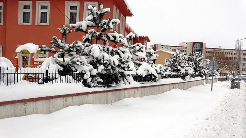 Erciş, eksi 20 derece ile dondu