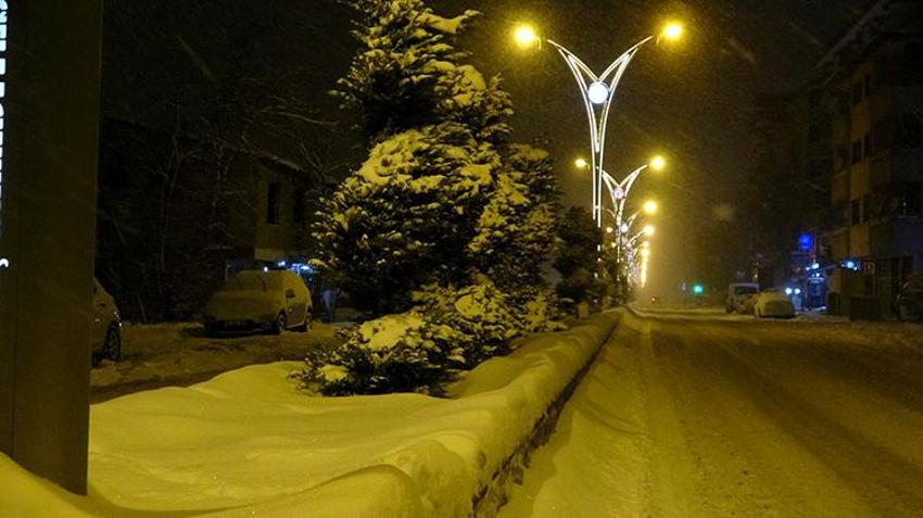 Erciş, eksi 20 derece ile dondu