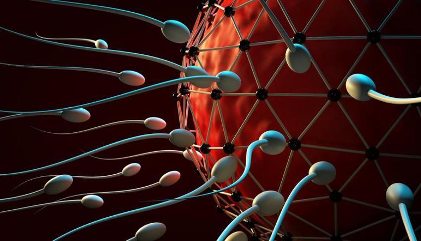 Sperm hırsızlığı skandalı patladı, mağdur sadece Drake değil! Acı sos spermi öldürüyor mu?