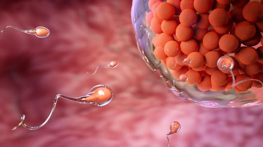 Sperm hırsızlığı skandalı patladı, mağdur sadece Drake değil! Acı sos spermi öldürüyor mu?