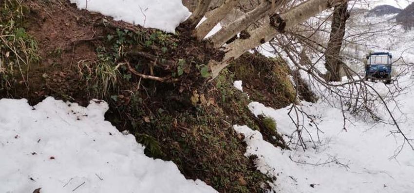 Ordu'da 1 mahalle kayıyor; 2 ev boşaltıldı, 10 ev tehlike altında
