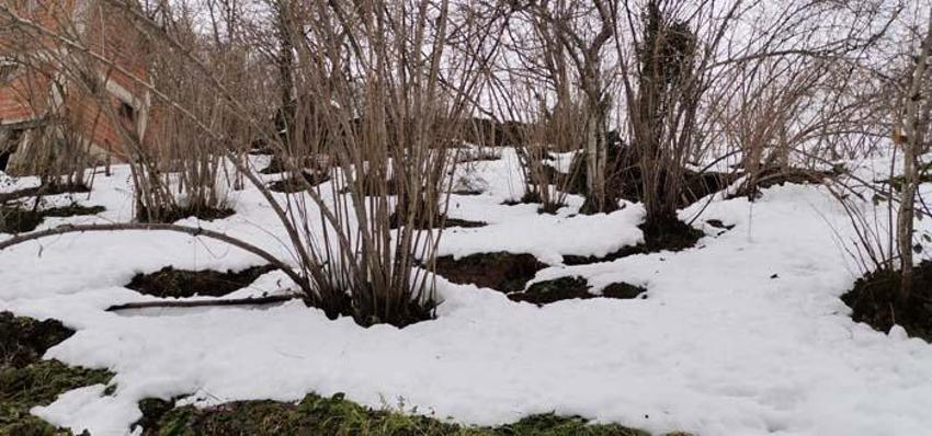Ordu'da 1 mahalle kayıyor; 2 ev boşaltıldı, 10 ev tehlike altında