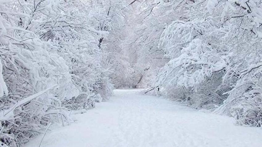 Meteoroloji son dakika duyurdu! Hava durumu değişiyor, yeniden geliyor! Kar kuvvetli vuracak, İstanbul, Ankara ve birçok ilde...
