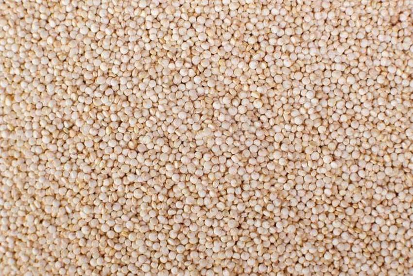 Kötü kolesterol için şifa, obezite ile mücadele ediyor! Astronotların gözdesi, tam bir protein deposu