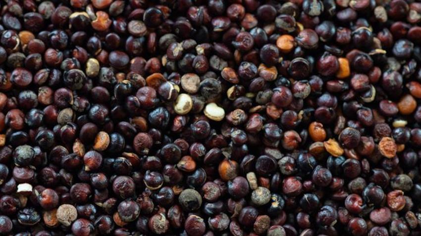 Kötü kolesterol için şifa, obezite ile mücadele ediyor! Astronotların gözdesi, tam bir protein deposu