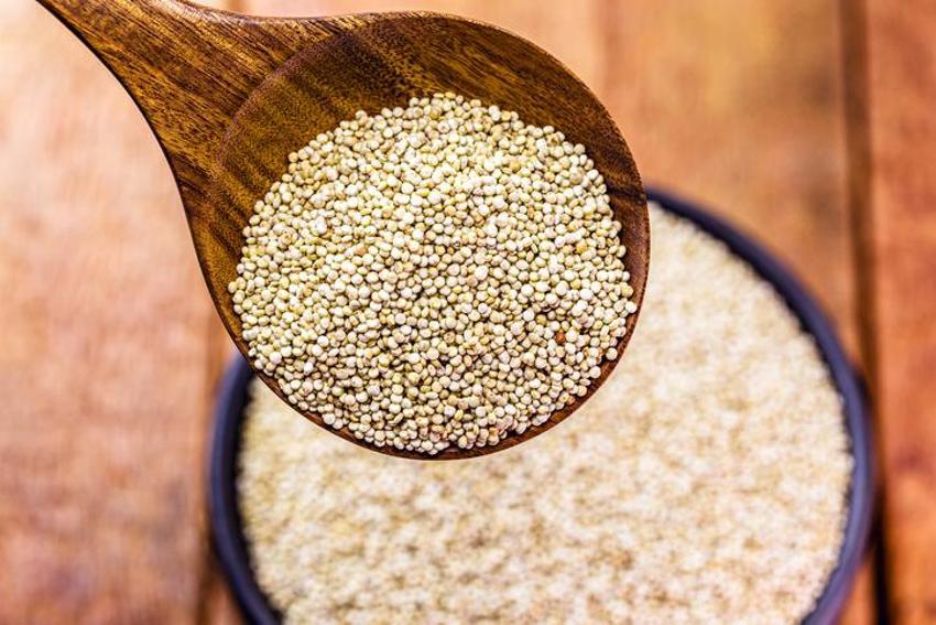 Kötü kolesterol için şifa, obezite ile mücadele ediyor! Astronotların gözdesi, tam bir protein deposu