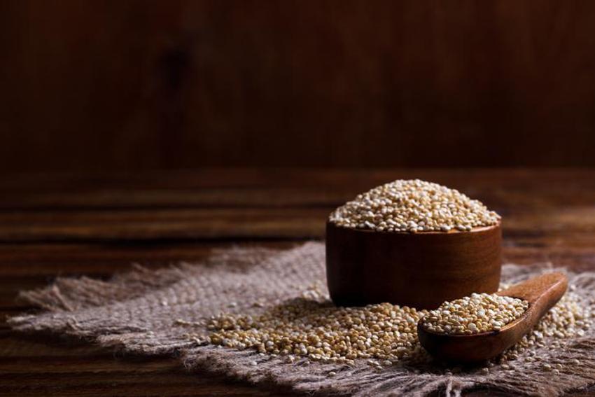 Kötü kolesterol için şifa, obezite ile mücadele ediyor! Astronotların gözdesi, tam bir protein deposu