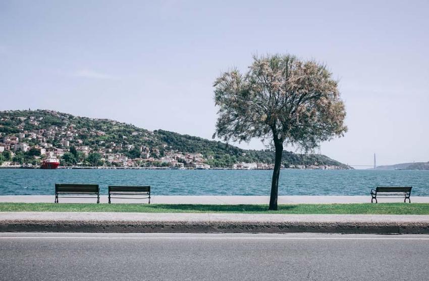 İl il rakamlar belli oldu! İstanbul'da hangi ilden kaç kişi yaşıyor? İşte şaşırtıcı sonuçlar...