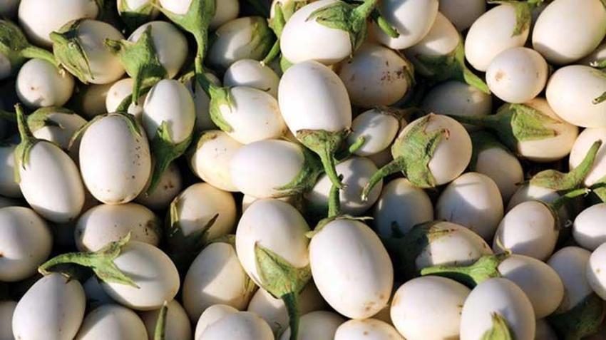 Kanser ve şeker hastalığı ile savaşıyor! Tam bir vitamin deposu, balla karıştırıp saça ve yüze sürünce...