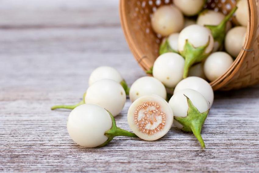 Kanser ve şeker hastalığı ile savaşıyor! Tam bir vitamin deposu, balla karıştırıp saça ve yüze sürünce...
