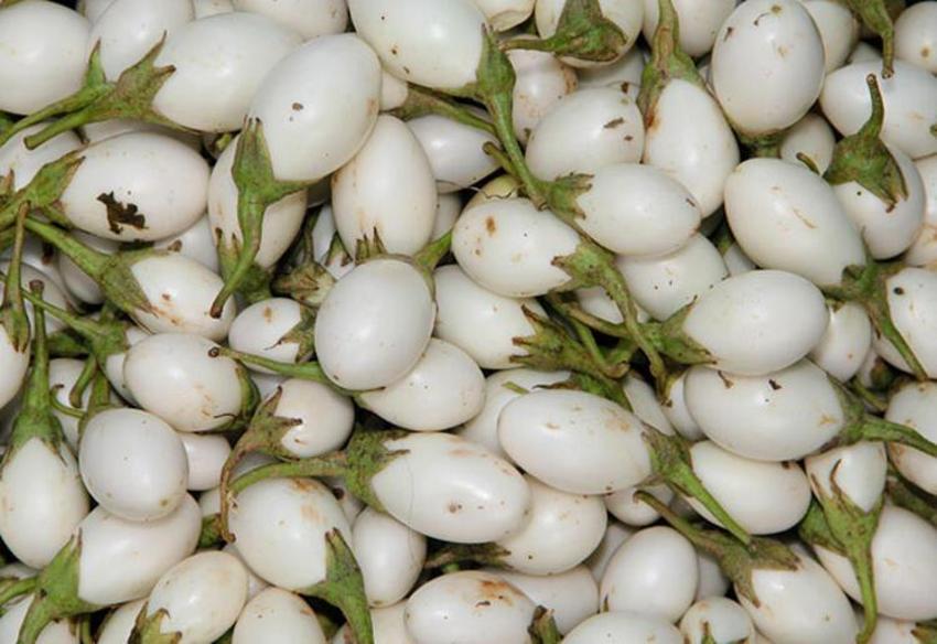Kanser ve şeker hastalığı ile savaşıyor! Tam bir vitamin deposu, balla karıştırıp saça ve yüze sürünce...