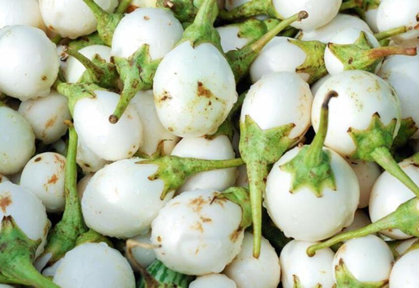Kanser ve şeker hastalığı ile savaşıyor! Tam bir vitamin deposu, balla karıştırıp saça ve yüze sürünce...