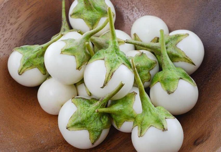 Kanser ve şeker hastalığı ile savaşıyor! Tam bir vitamin deposu, balla karıştırıp saça ve yüze sürünce...