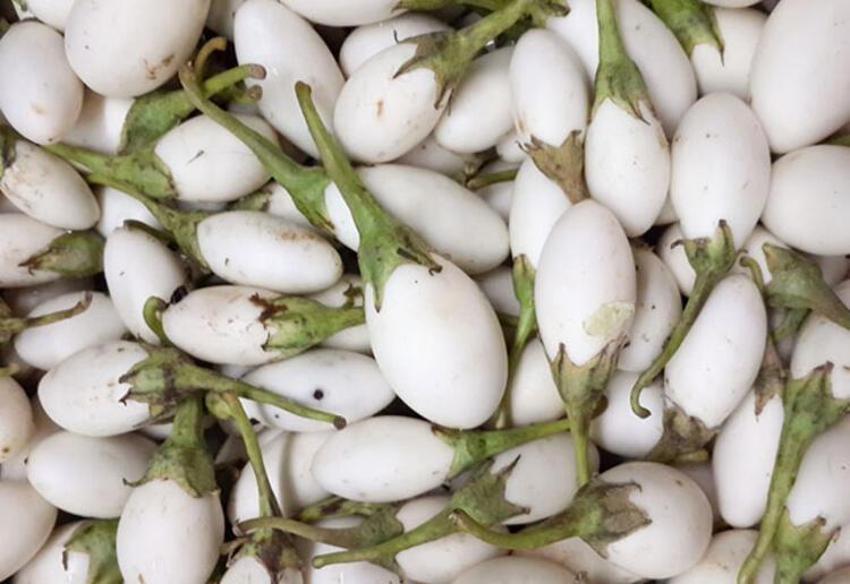 Kanser ve şeker hastalığı ile savaşıyor! Tam bir vitamin deposu, balla karıştırıp saça ve yüze sürünce...
