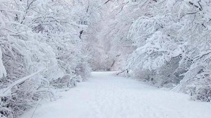 Kar yağışı geliyor! Meteoroloji son dakika açıkladı! Hava durumu değişiyor, tarih belli oldu! İstanbul, Ankara ve birçok ilde...