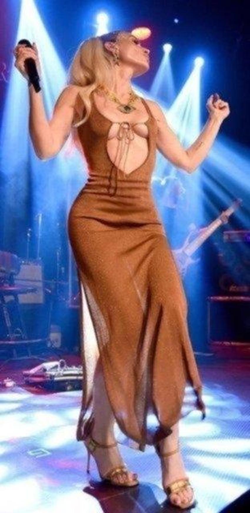 Lerzan Mutlu derin dekolteli elbisesiyle sahnede!