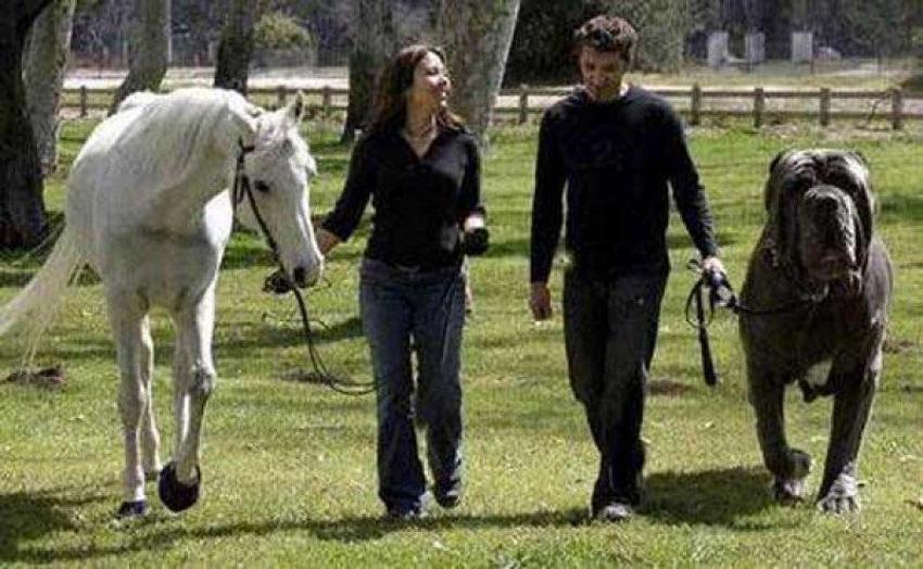 Dünyanın enleri belli oldu! İşte listedeki çarpıcı Türkiye detayları...