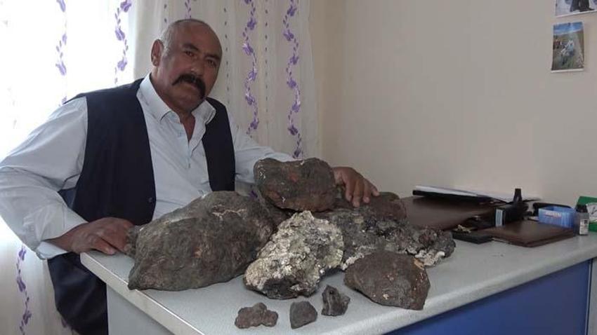 Mantar toplamaya çıktı, tesadüfen gördü! 180 bin dolara satıldığını öğrenince...
