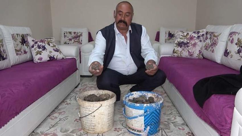 Mantar toplamaya çıktı, tesadüfen gördü! 180 bin dolara satıldığını öğrenince...