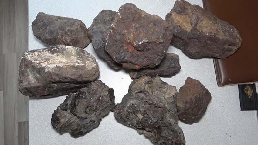 Mantar toplamaya çıktı, tesadüfen gördü! 180 bin dolara satıldığını öğrenince...