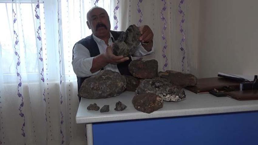 Mantar toplamaya çıktı, tesadüfen gördü! 180 bin dolara satıldığını öğrenince...