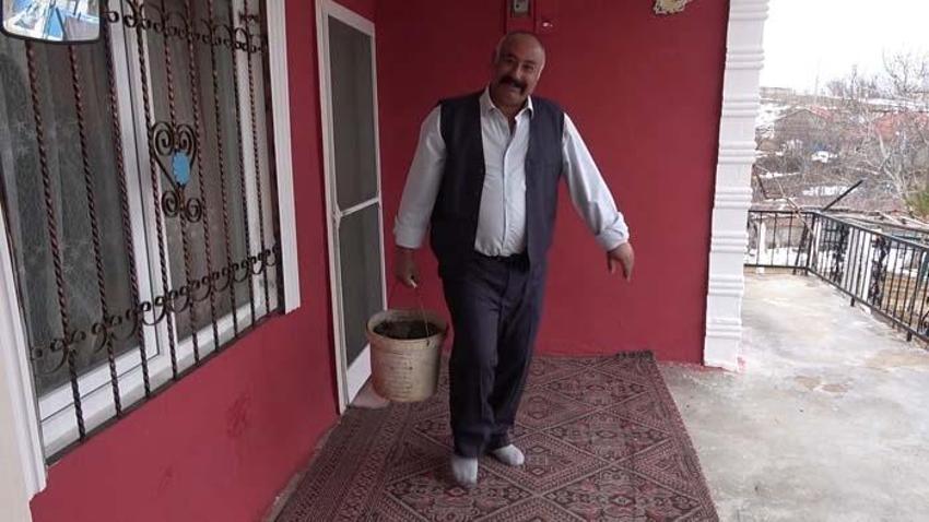 Mantar toplamaya çıktı, tesadüfen gördü! 180 bin dolara satıldığını öğrenince...