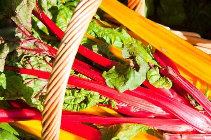 Kanser hücrelerinin çoğalmasını engelliyor, kronik hastalıklara iyi geliyor! Yeşil mucize...
