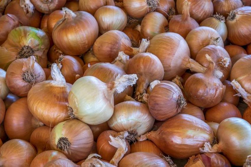 Kan şekerini dört saatte düşürüyor! Kolesterol, diyabet, kalp krizi, obezite...