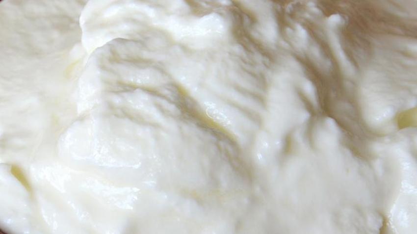 Prebiyotik deposu, B12 vitamini bakımından çok zengin! Suyu vücudu baştan aşağı temizliyor 