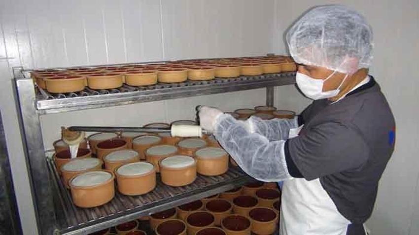 Prebiyotik deposu, B12 vitamini bakımından çok zengin! Suyu vücudu baştan aşağı temizliyor 