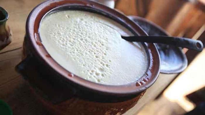 Prebiyotik deposu, B12 vitamini bakımından çok zengin! Suyu vücudu baştan aşağı temizliyor 