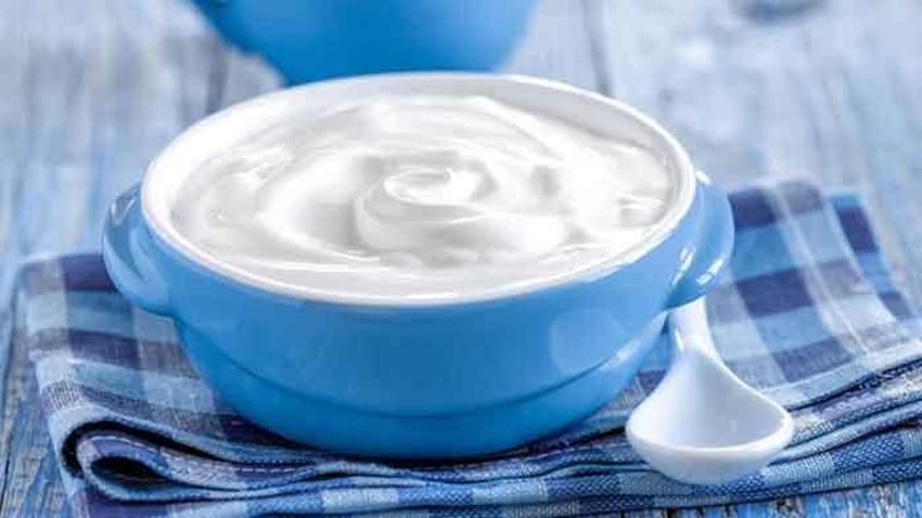 Prebiyotik deposu, B12 vitamini bakımından çok zengin! Suyu vücudu baştan aşağı temizliyor 
