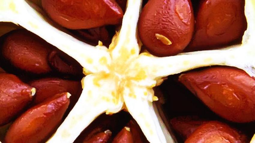 Metabolizmayı hızlandırıyor, hızla kilo verdiriyor! İştahı bıçak gibi kesiyor, yemeklerden önce 1 kase tüketilirse...