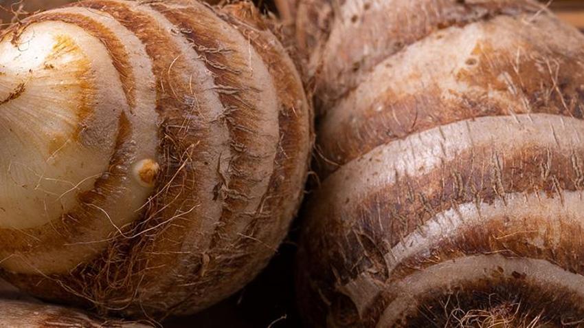 Kan şekerini dengeliyor, kolesterolü düşürüyor, kanseri önlüyor! Tam bir vitamin ve probiyotik deposu...
