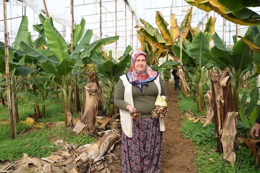 Kan şekerini dengeliyor, kolesterolü düşürüyor, kanseri önlüyor! Tam bir vitamin ve probiyotik deposu...