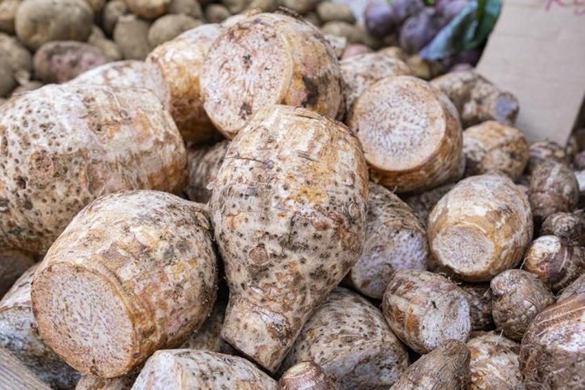 Kan şekerini dengeliyor, kolesterolü düşürüyor, kanseri önlüyor! Tam bir vitamin ve probiyotik deposu...