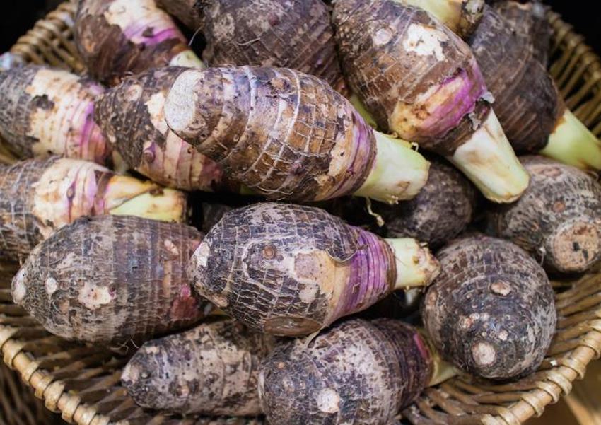Kan şekerini dengeliyor, kolesterolü düşürüyor, kanseri önlüyor! Tam bir vitamin ve probiyotik deposu...