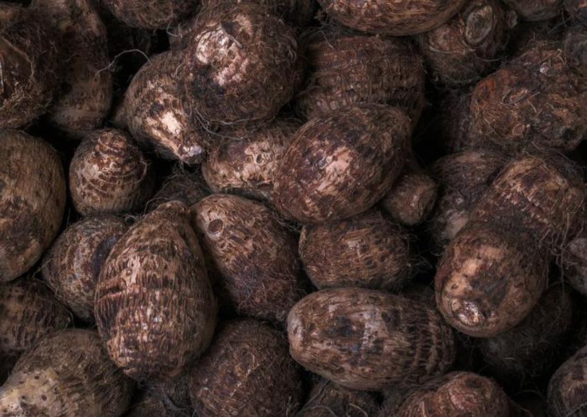 Kan şekerini dengeliyor, kolesterolü düşürüyor, kanseri önlüyor! Tam bir vitamin ve probiyotik deposu...