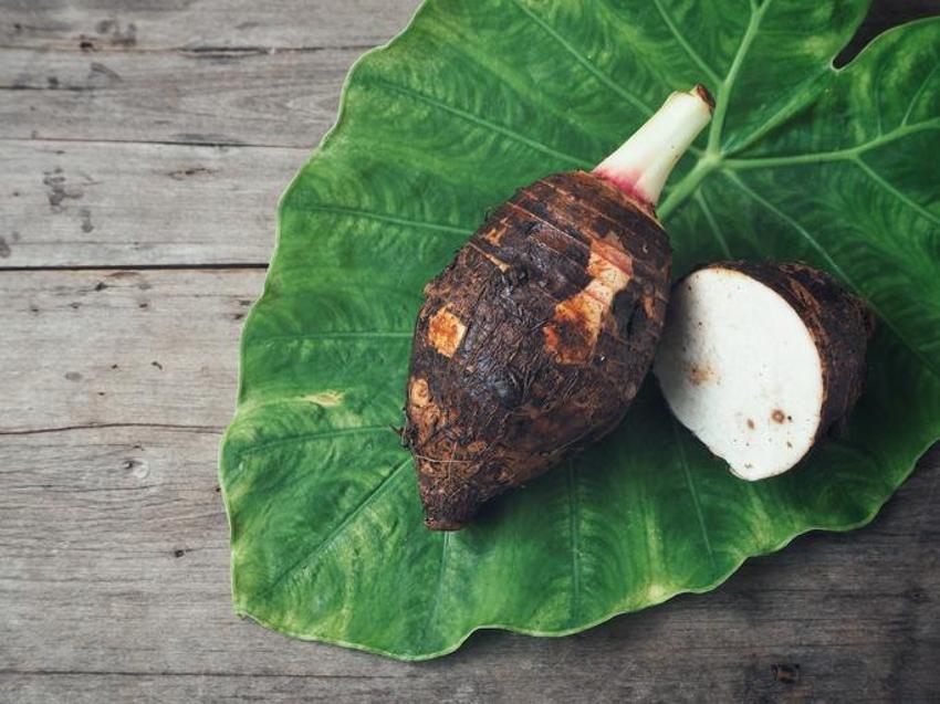 Kan şekerini dengeliyor, kolesterolü düşürüyor, kanseri önlüyor! Tam bir vitamin ve probiyotik deposu...