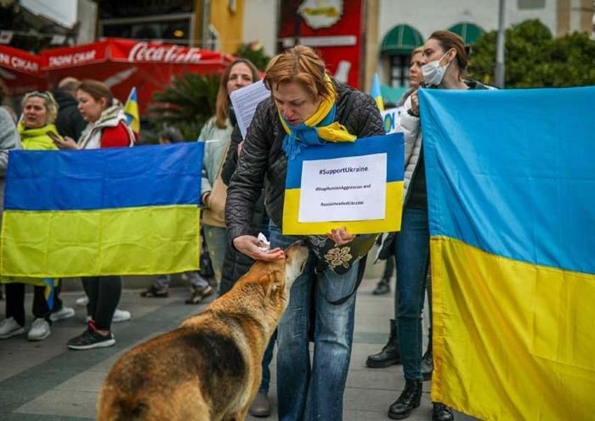 Rus pasaportlarını yakıyorlar! Dünyadan tepki yağıyor, protestolar başladı İstanbul ve Antalya'da da...