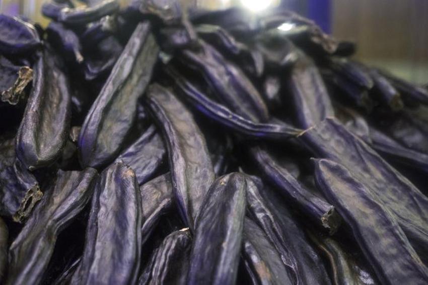 Şifa deposu! Enerji veriyor, erkeklerde sperm sayısını artırıyor, kan şekerini düzenliyor!