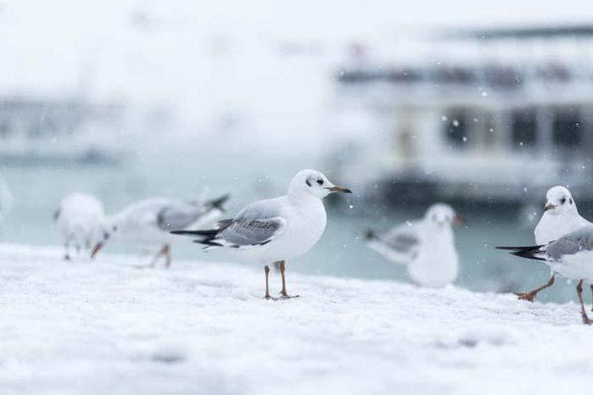 Meteoroloji son dakika açıkladı! Hava tamamen terse dönüyor, tarih belli oldu! İstanbul, Ankara, İzmir dahil onlarca ilde...
