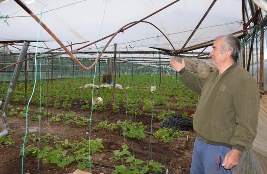 Antalya'da hortum yıktı geçti! 'Çok büyük bir afet yaşadık'