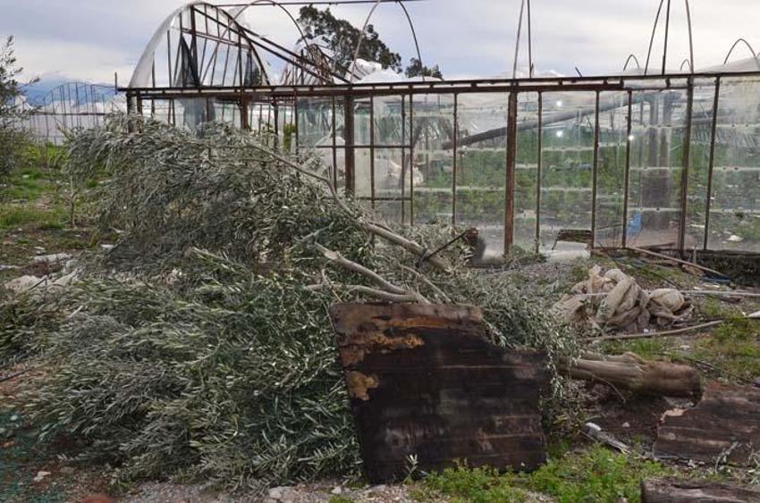 Antalya'da hortum yıktı geçti! 'Çok büyük bir afet yaşadık'