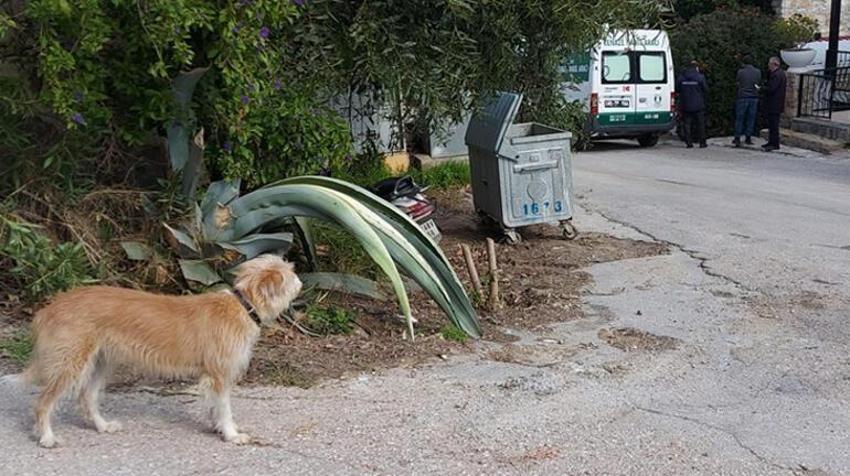 Akrep Nalan'ın mirasını kime bıraktığı ortaya çıktı