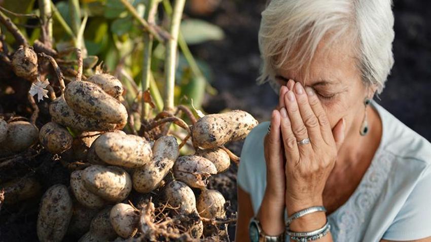 Alzheimer hastalığına şifa, hafızayı çok hızlı yeniliyor! Tansiyon, kolesterol ve kalp hastalığı...