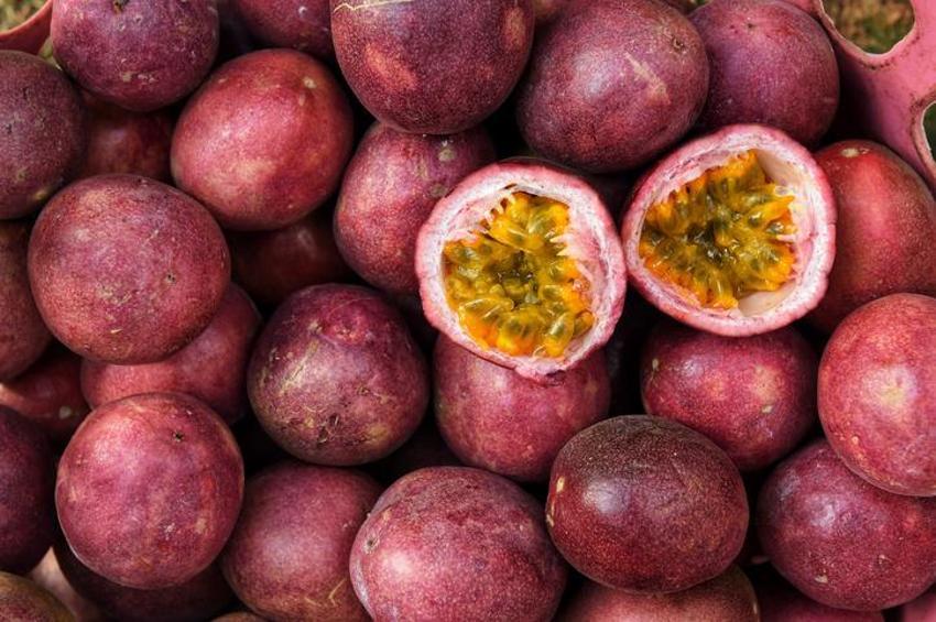 Cinsel gücü artırıyor, tam bir ağrı kesici! Bağışıklığı güçlendiriyor, kalsiyum ve vitamin deposu...