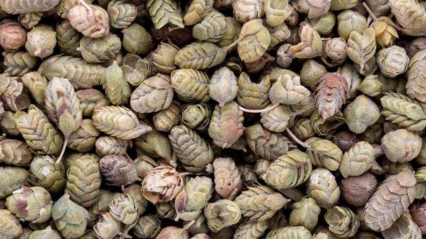 Libidoyu yükseltiyor, Alzheimer riskini azaltıyor! Sabahları aç karnına tüketen...  