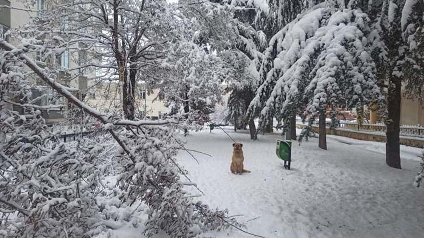Kar yağışı tekrar geliyor! Meteoroloji tarih vererek son dakika açıkladı! İstanbul, Ankara dahil onlarca ilde yeni soğuk hava...